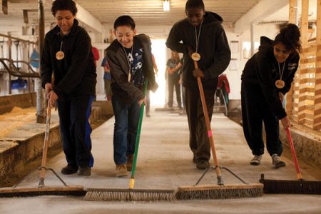 Agriculture and Farm School Image